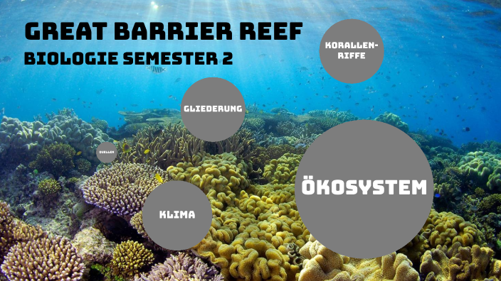 Ökosystem - Great Barrier Reef by Maximilian R on Prezi