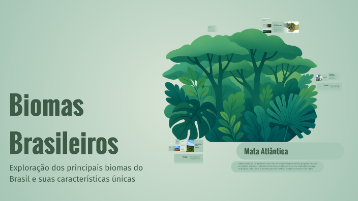 Biomas Brasileiros by Eliane eliane on Prezi
