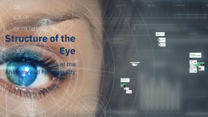 Structure of the Eye by JAY PATEL on Prezi
