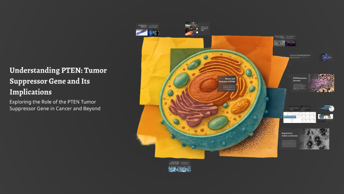 Understanding PTEN: Tumor Suppressor Gene and Its Implications by elias ...