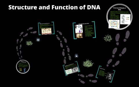 Finding the Structure of DNA by Quan Nguyen on Prezi