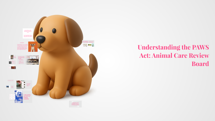 Paws For Understanding Understanding the PAWS Act: Animal Welfare in Ontario by Uvneet Jassal ...