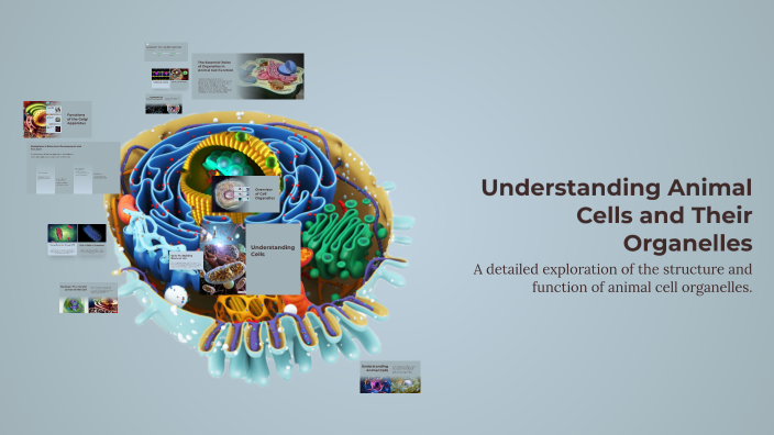 Understanding Animal Cells and Their Organelles by Courtney Smith on Prezi