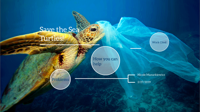 Save the Sea Turtles by Nicole M on Prezi