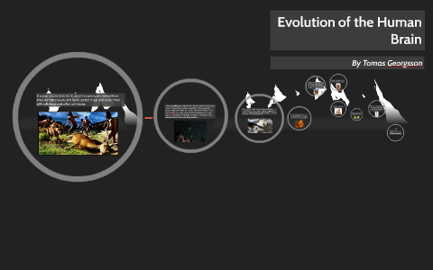 Evolution of the human brain by tomas georgsson on Prezi