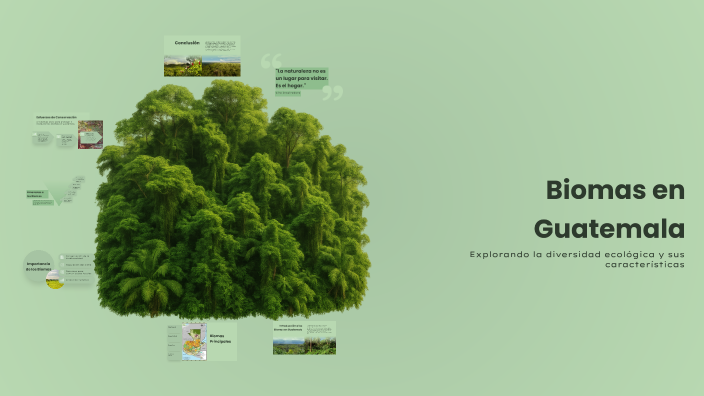 Biomas en Guatemala by Sandra patricia Aguilar on Prezi