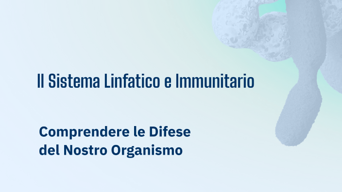 Il Sistema Linfatico E Immunitario By Riccardo Moratti On Prezi