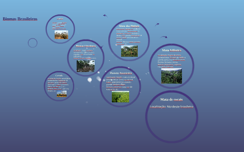 Biomas Brasileiros by Maria Eduarda Pivetta on Prezi