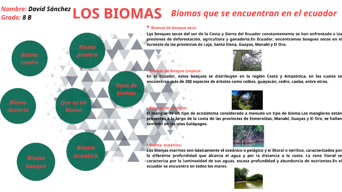 LOS BIOMAS by David Sánchez on Prezi