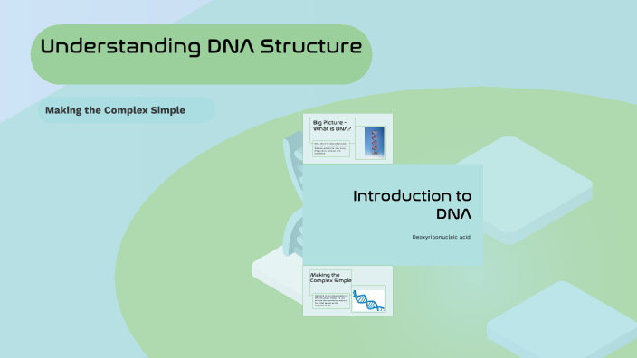 Understanding DNA Structure by Vanessa Jaimes on Prezi