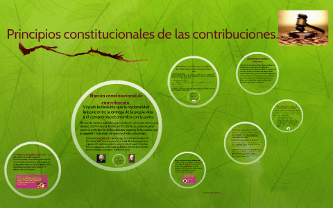 Principios Constitucionales De Las Contribuciones By Samara Dolores ...