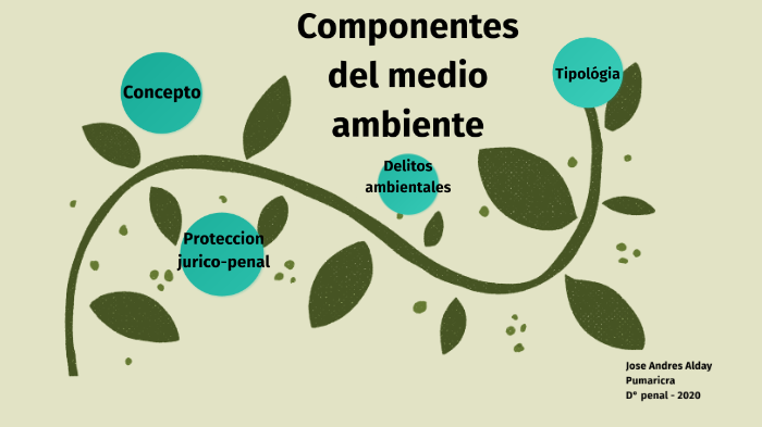 Componentes Del Medio Ambiente By Andres Pumaricra On Prezi Next