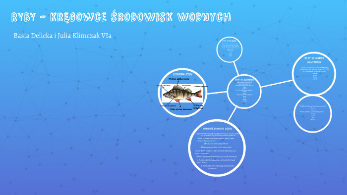 RYBY - kręgowce środowisk wodnych by Dela ugh on Prezi