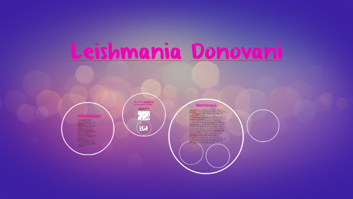 morfología de leishmania donovani