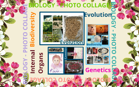 Biology Photo Collage by Namrataa Shah on Prezi Next