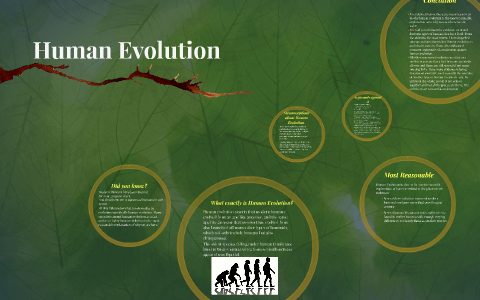 Human Evolution by Luciano Sanchez on Prezi