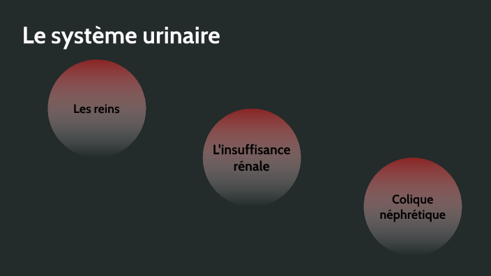 Le système urinaire by Sarah-Émilie Derosby on Prezi