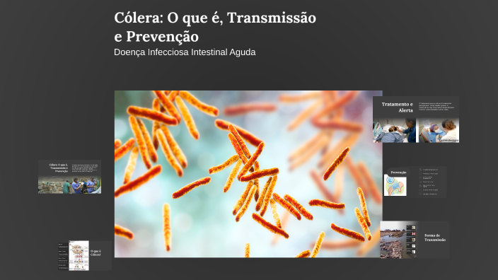 Cólera: O que é, Transmissão e Prevenção by Benilson Benedito on Prezi