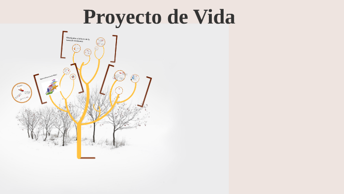 Proyecto de Vida by Alguacil Francisco Martinez Tavares on Prezi