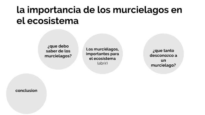 La Importancia De Los Murcielagos En El Ecosistema By Brenda Esmeralda 8372