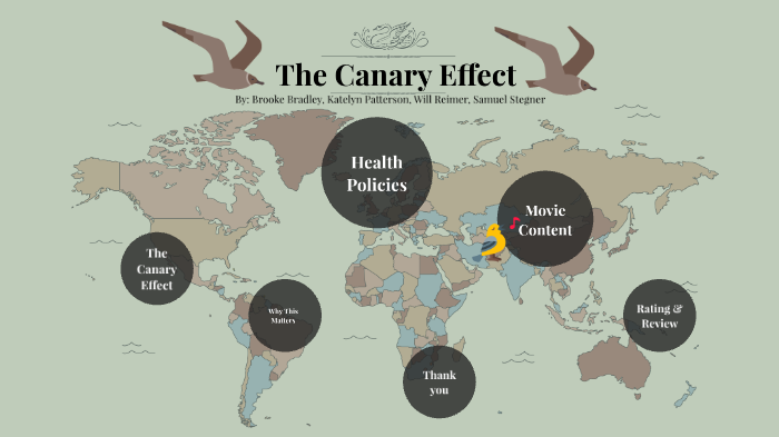 canary effect