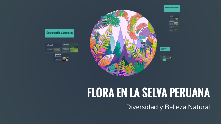 FLORA EN LA SELVA PERUANA by JUAN JOSE SAUCEDO PASTOR on Prezi