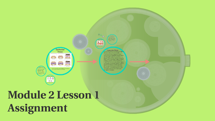 Module 2 Lesson 1 Assignment by Emily Garner on Prezi