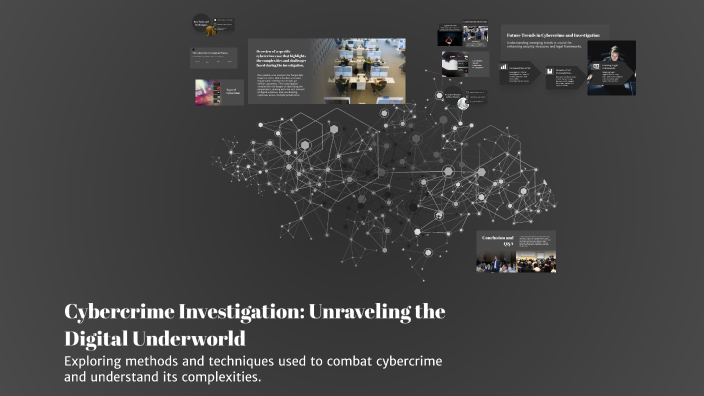 Cybercrime Investigation: Unraveling the Digital Underworld by Liliana ...