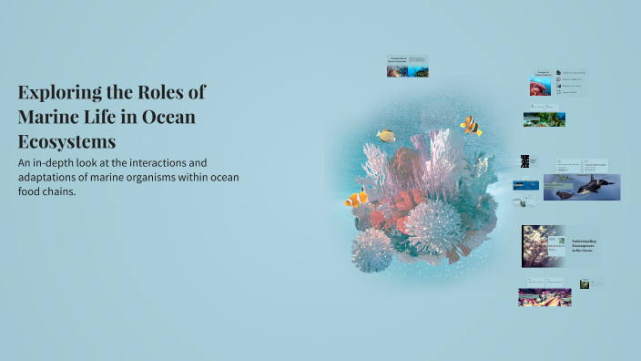 Exploring the Roles of Marine Life in Ocean Ecosystems by sophia prieto ...