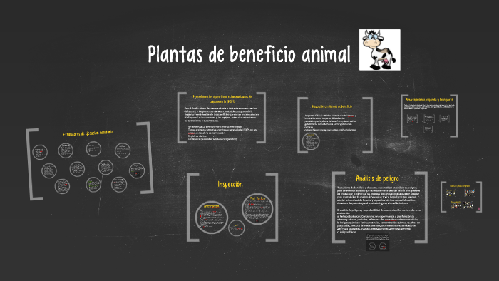 Plantas de beneficio animal by Carolina Lozano Davila on Prezi