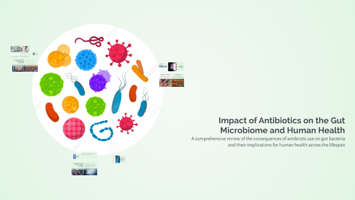 Impact of Antibiotics on the Gut Microbiome and Human Health by Emad ...