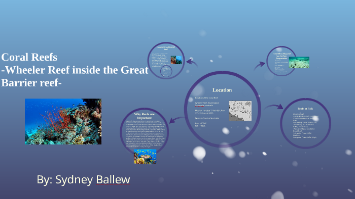 Coral Reefs By On Prezi