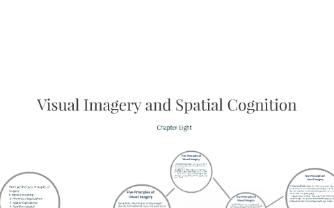 Visual Imagery And Spatial Cognition By Dottie Kellogg