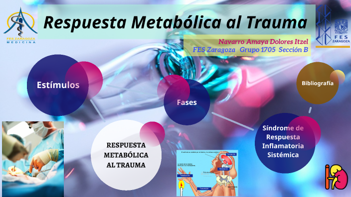 Respuesta Metab Lica Al Trauma By Lola Navarro On Prezi   Ze6jemxlldqy6ahes3ugii4uqh6jc3sachvcdoaizecfr3dnitcq 3 0 