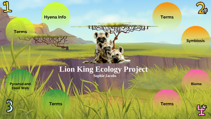 Food Chain The Lion King Ecology Science Worksheet Answer Key Pdf