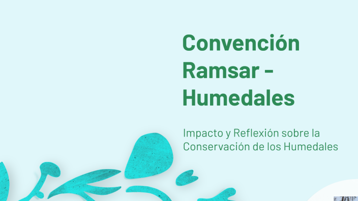 Convención Ramsar - Humedales by Christopher Cantor Rhea on Prezi