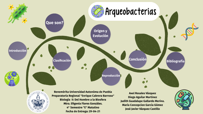 Arqueobacterias By Javier Vazquez On Prezi 4760