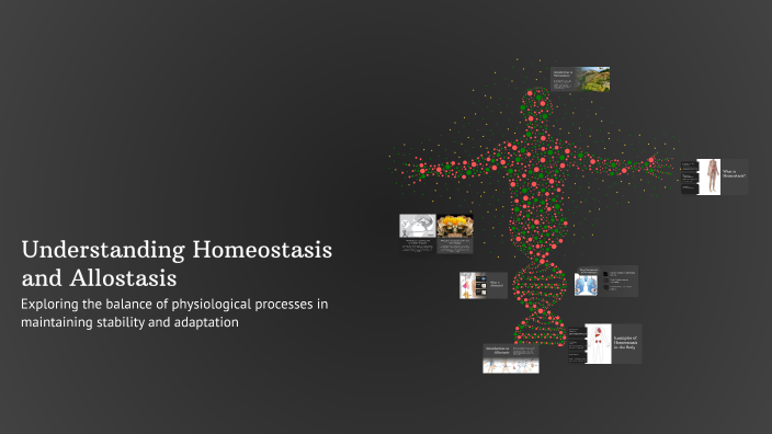 Understanding Homeostasis and Allostasis by Faisal H. Rizvi on Prezi