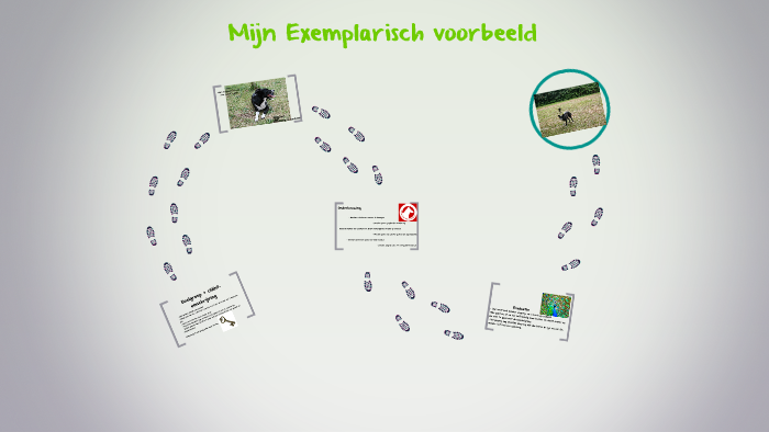 Mijn Exemplarisch voorbeeld by Gerdien Peppelman