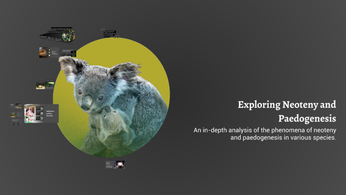 Exploring Neoteny and Paedogenesis by Ziniya Sidd on Prezi