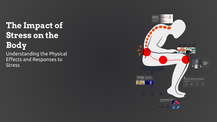 The Impact of Stress on the Body by on Prezi
