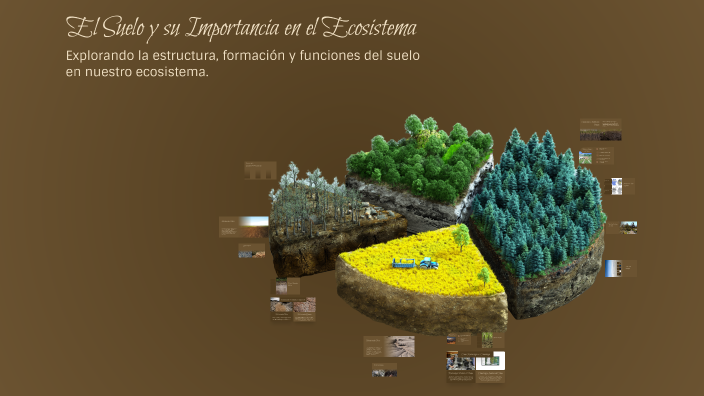El Suelo y su Importancia en el Ecosistema by Thiago Cativas on Prezi