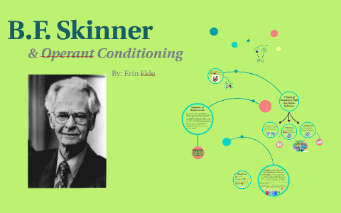 bf skinner conditioning