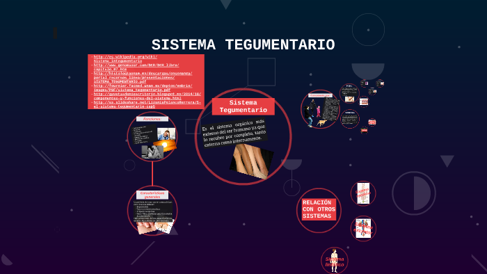 Sistema Tegumentario by Sarahi Sanchez