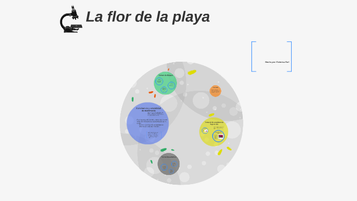 La flor de la playa by Federica Earl on Prezi