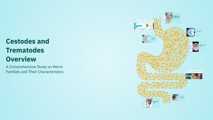 Cestodes and Trematodes Overview by Zana Rashid on Prezi