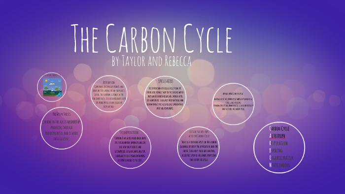 The Carbon Cycle by Rebecca Schelen on Prezi