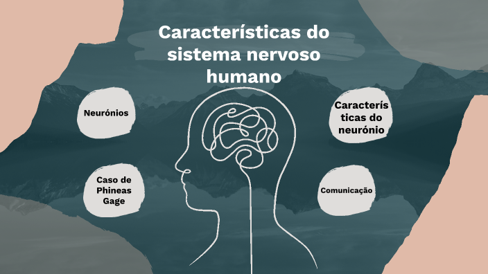 Identificar Os Elementos Estruturais E Funcionais Básicos Do Sistema ...