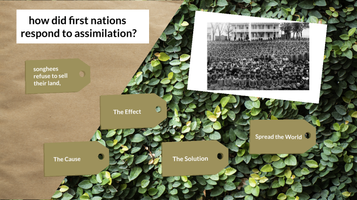 how-did-first-nations-respond-to-assimilation-by-kherington-spanjers