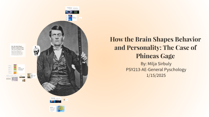 How the Brain Shapes Behavior and Personality: The Case of Phineas Gage ...